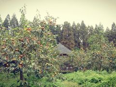 -武汉世外桃源农庄