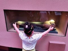 -陕西自然博物馆