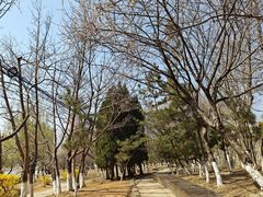 -前关湿地公园