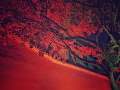 -大雁塔北广场音乐喷泉