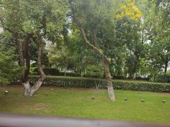 -橘洲1910花园江景西餐厅