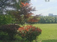 -艾溪湖湿地公园