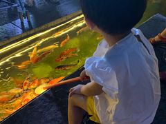 -台儿庄古城