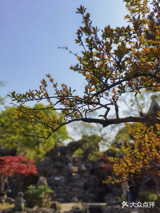 苏州严家花园图片