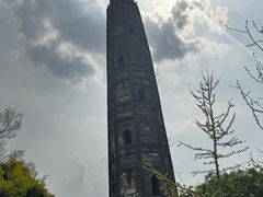 -上海佘山国家森林公园天马山园