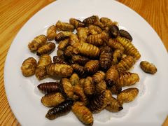 -安东水产海鲜餐厅