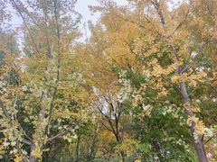 -北京园博大酒店