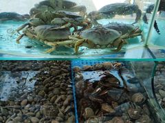 -晶渔坊·海鲜私房菜(东夷小镇店)