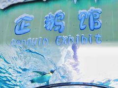 -珠海长隆海洋王国