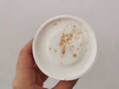 椰子-歎雪糕低糖低脂Gelato冰淇淋