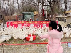 -辛庄国际文化艺术区