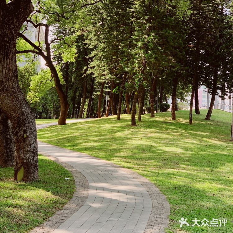 广州公园｜这几年，天河公园变化太大了！
