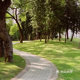 广州公园｜这几年，天河公园变化太大了！