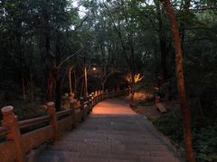 -普陀山雷迪森庄园