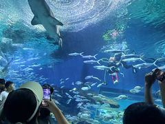 -海合安武汉极地海洋公园