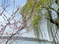 -西湖天地