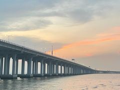 -宝安西湾红树林湿地公园