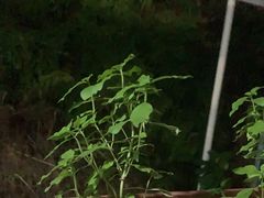 -许鲜生健康生活馆·精细潮菜(奥绅体育公园店)