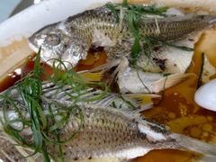 西江黄鱼-八仔大富楼·河鲜(西江店)