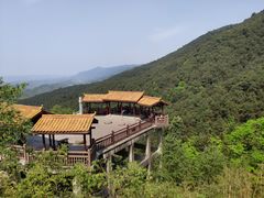 -铁山坪森林公园