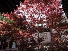-太平天国历史博物馆(瞻园)