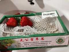 -世纪联华(外高桥店)