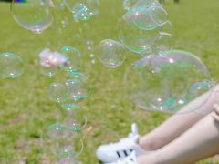 -长白岛森林公园