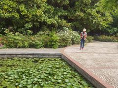 -洛阳市隋唐城遗址植物园