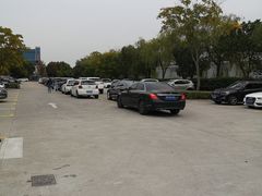 -共青国家森林公园-南大门停车场