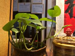 -成都皈徕栖精品酒店(四川大学九眼桥店)