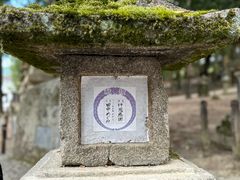 -奈良公园