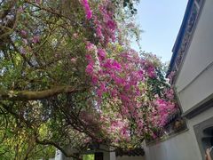 -深圳国际园林花卉博览园