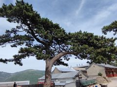 -妙峰山风景名胜区