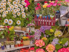 -金陵花卉交易市场