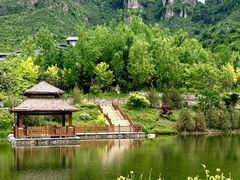 -王莽岭风景区
