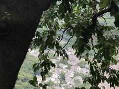 -灵顺寺