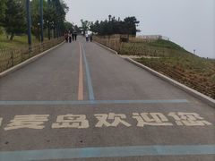 -小麦岛公园