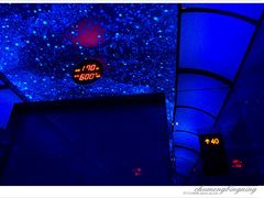 星光高速电梯-高雄85大楼-观景台