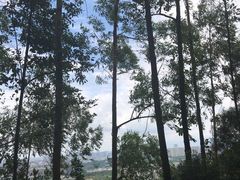 -火炉山森林公园