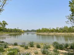 -东郊湿地公园