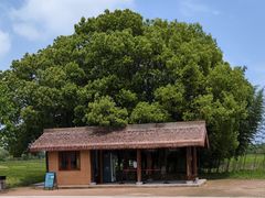 -良渚古城遗址公园