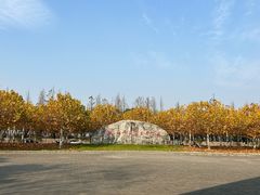 -上海海湾国家森林公园