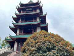 -桂湖森林公园