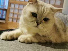 -小时光咖啡馆(开森度假森林店)