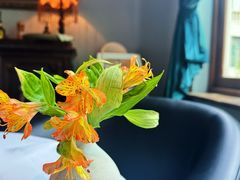 -夏朵花园(复兴西路店)