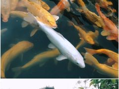 -龙门水都景区