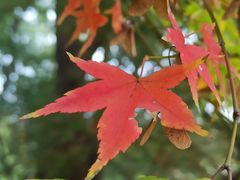 -共青国家森林公园-售票处