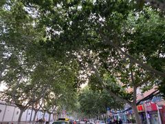 -萧记三鲜烩面(郑汴路店)