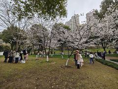 -堤角公园