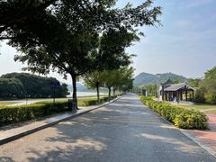 -风云岭森林公园